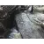 FORD FOCUS C-MAX (CAP) '2004 TREND (D) GRANATE