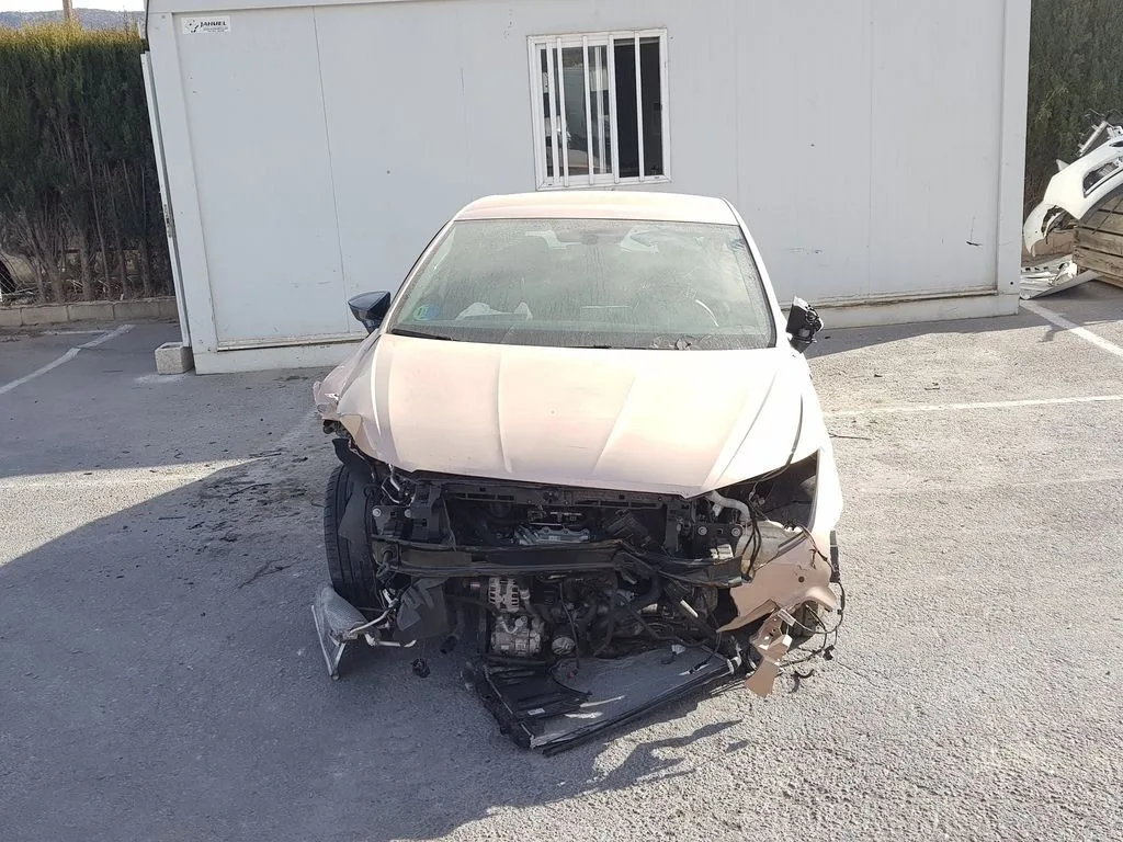 SEAT IBIZA (KJ1) '2019 XCELLENCE ROSA