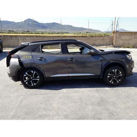 Peugeot 2008 II (UD_, US_, UY_, UJ_, UR_, UC_) 2021
