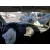 VOLKSWAGEN POLO (6C1) '2016 BLUEMOTION BLANCO