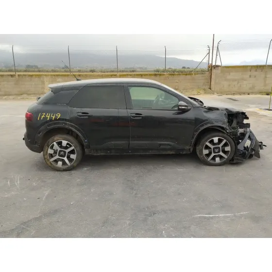 Citroen C4 CACTUS 2018