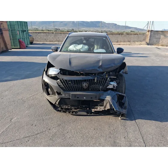 Peugeot 2008 II (UD_, US_, UY_, UJ_, UR_, UC_) 2019