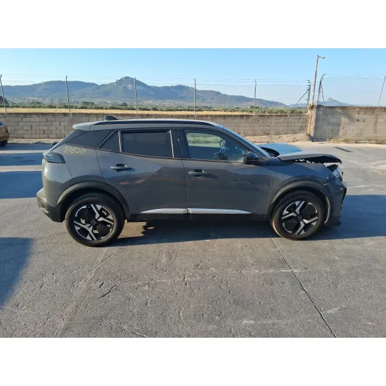 Peugeot 2008 II (UD_, US_, UY_, UJ_, UR_, UC_) 2019
