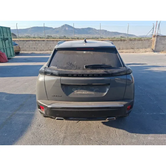 Peugeot 2008 II (UD_, US_, UY_, UJ_, UR_, UC_) 2019