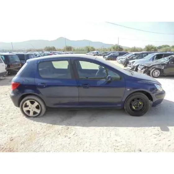 PEUGEOT 307 (S1) '2001 XT AZUL
