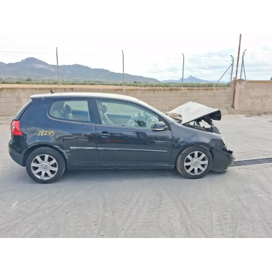 Volkswagen GOLF V (1K1) 2004