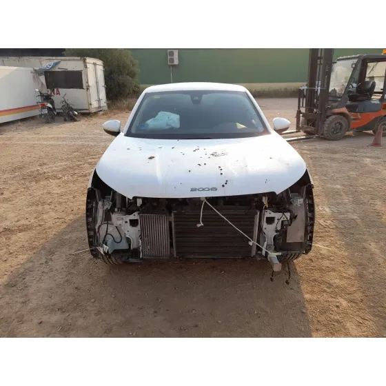 Peugeot 2008 II (UD_, US_, UY_, UJ_, UR_, UC_) 2019