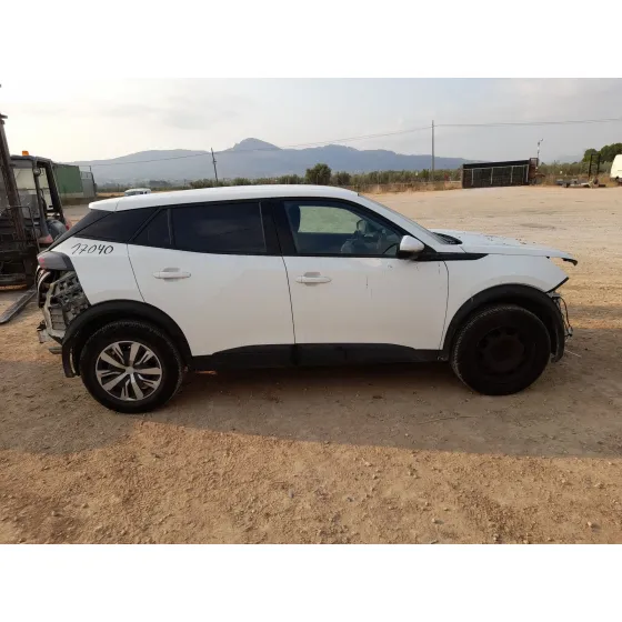 Peugeot 2008 II (UD_, US_, UY_, UJ_, UR_, UC_) 2019
