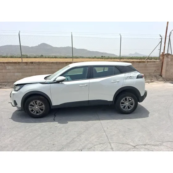 Peugeot 2008 II (UD_, US_, UY_, UJ_, UR_, UC_) 2019
