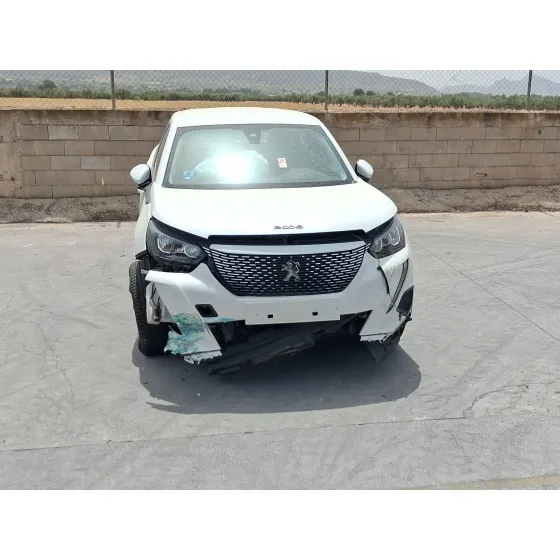 Peugeot 2008 II (UD_, US_, UY_, UJ_, UR_, UC_) 2019