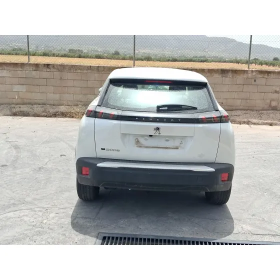 Peugeot 2008 II (UD_, US_, UY_, UJ_, UR_, UC_) 2019