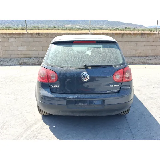 Volkswagen GOLF V (1K1) 2003