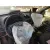 RENAULT CLIO II FASE II (B/CB0) '2003 BASE AUTHENTIQUE VERDE