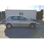 PEUGEOT 307 (S1) '2003 XR GRIS