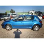 PEUGEOT 307 (S1) PEUGEOT 307 (S1) '2002 XS 2001