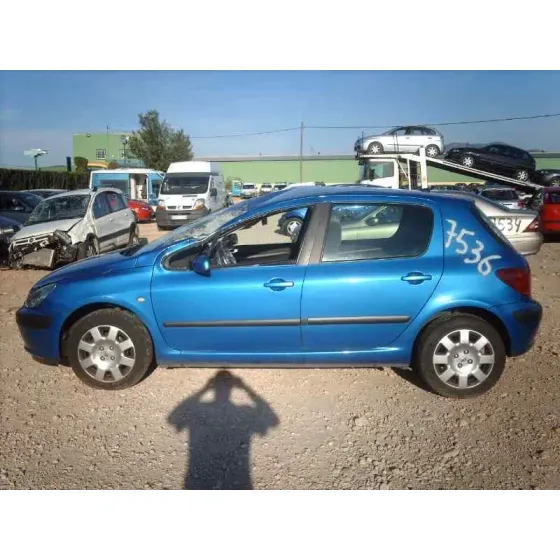 PEUGEOT 307 (S1) '2002 XS