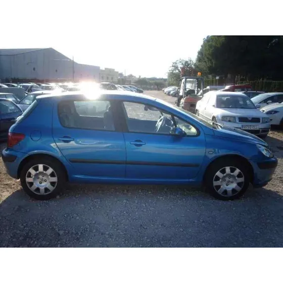 PEUGEOT 307 (S1) '2002 XS