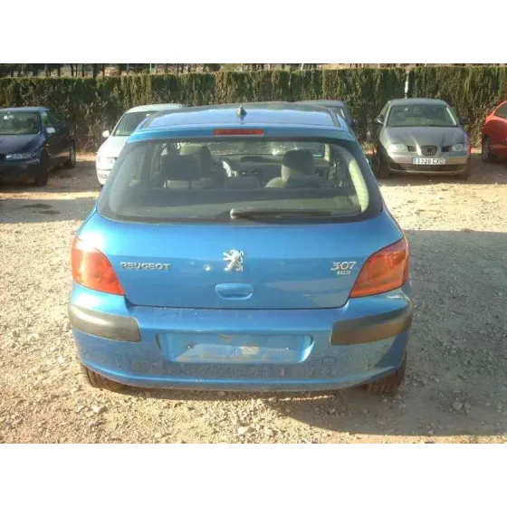 PEUGEOT 307 (S1) '2002 XS