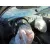 SEAT IBIZA (6J5) '2009 STYLANCE / STYLE NEGRO