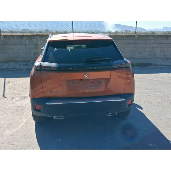 Peugeot 2008 II (UD_, US_, UY_, UJ_, UR_, UC_) 2019