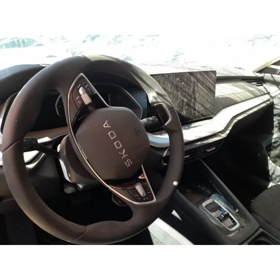 Skoda OCTAVIA IV (NX3, NN3, PV3) 2020