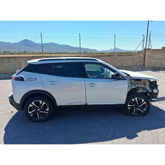 Peugeot 2008 II (UD_, US_, UY_, UJ_, UR_, UC_) 2019