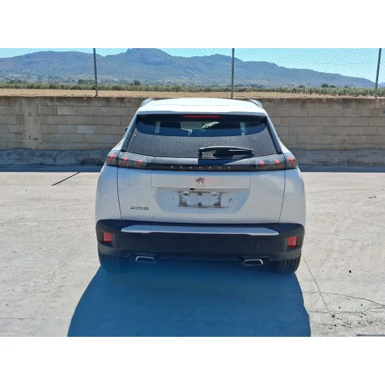 Peugeot 2008 II (UD_, US_, UY_, UJ_, UR_, UC_) 2019