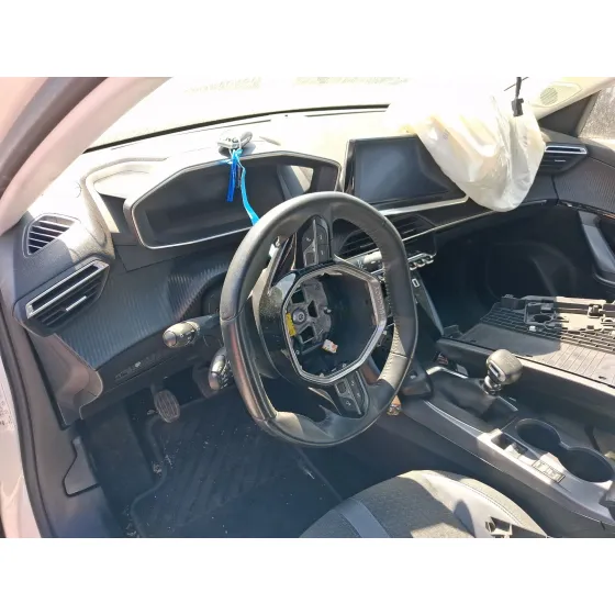 Peugeot 2008 II (UD_, US_, UY_, UJ_, UR_, UC_) 2019