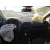 RENAULT CLIO IV '2015 BUSINESS BLANCO