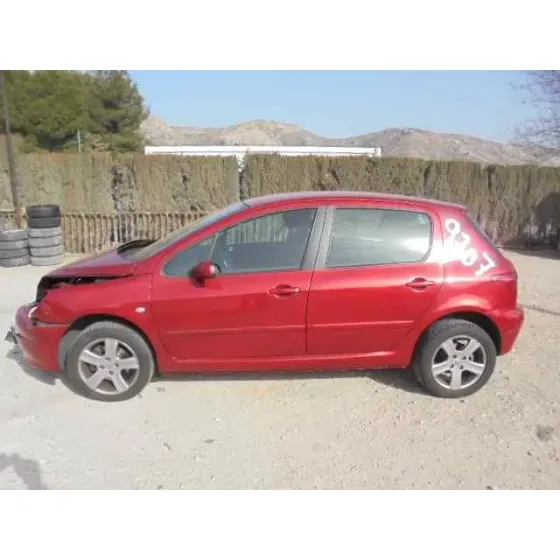 PEUGEOT 307 (S1) '2005 XS GRANATE