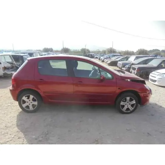 PEUGEOT 307 (S1) '2005 XS GRANATE
