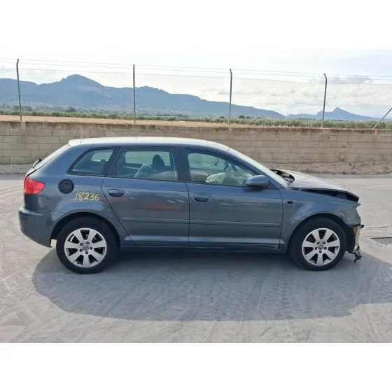 Audi A3 SPORTBACK (8PA) 2004