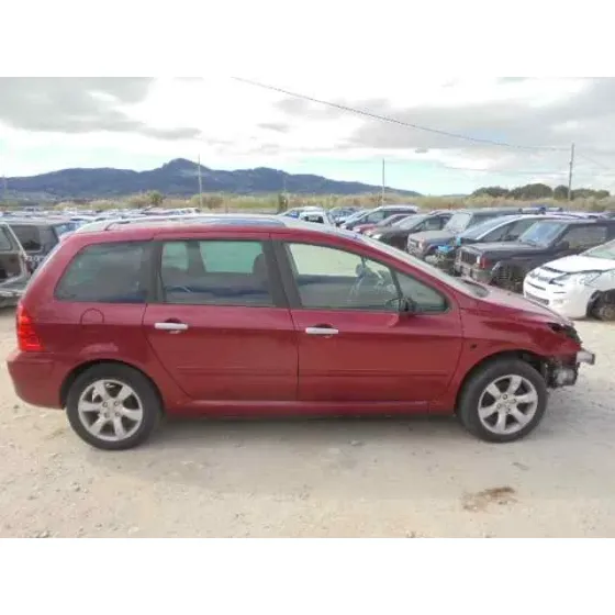 PEUGEOT 307 BREAK/SW (S2) '2005 SW PACK GRANATE
