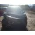 PEUGEOT 207 PEUGEOT 207 '2007 URBAN NEGRO 2006
