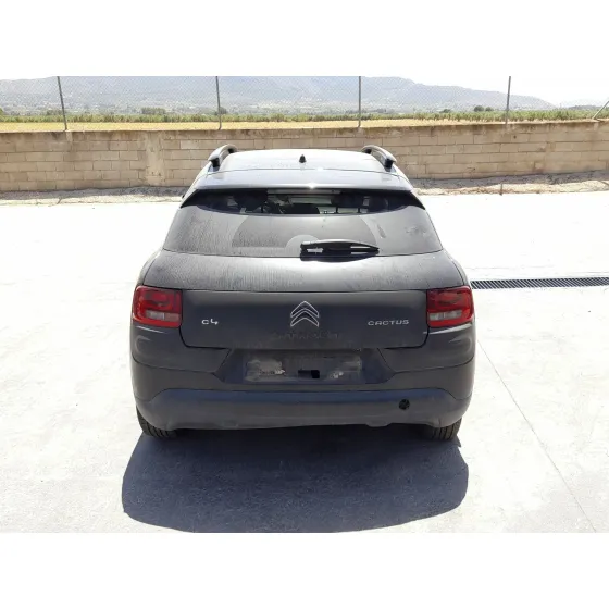 Citroen C4 CACTUS 2014