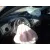 CHEVROLET CRUZE CHEVROLET CRUZE '2010 LS NEGRO 2009