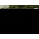 OPEL CORSA C '2000 1.4 16V NEGRO