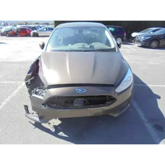 FORD FOCUS LIM. '2016 BUSINESS MARRON