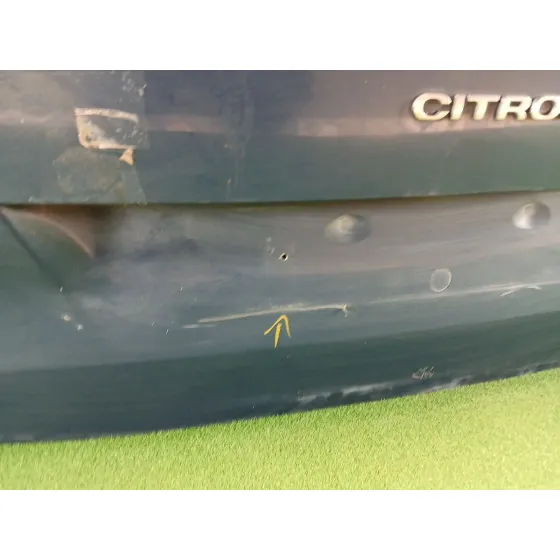 Porton Trasero para Citroën C4 Picasso