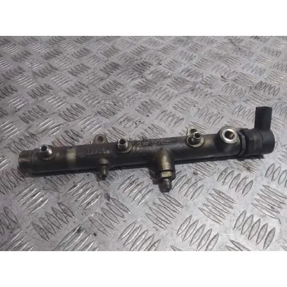 Rampa Inyectora para Audi A6 Berlina (4F2)