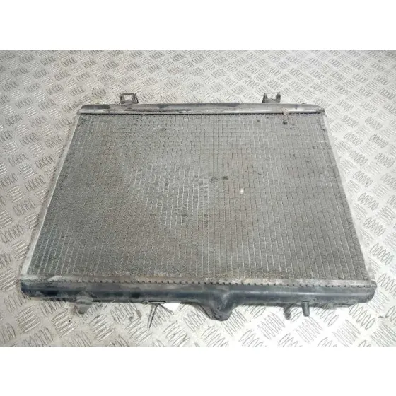 Radiador Agua para Peugeot 407