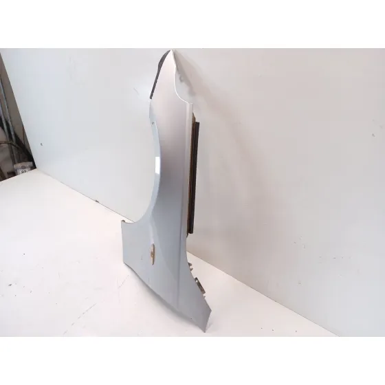 Aleta Delantera Izquierda para Bmw Serie 5 Touring (E61)