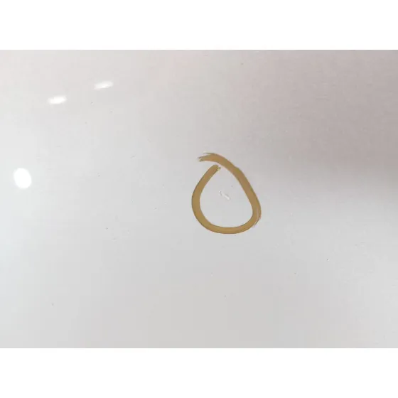 Capot para Bmw Serie 5 Touring (E61)