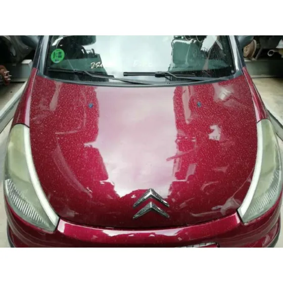 Capot para Citroën C3 Pluriel