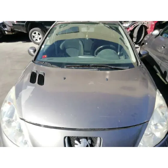 Capot para Peugeot 206+