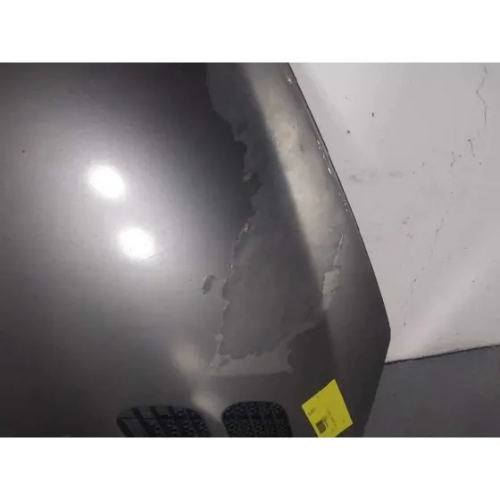 Capot para Peugeot 206+