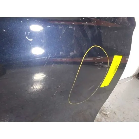Puerta Delantera Derecha para Bmw Serie 5 Lim. (F10)