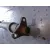 Transmision Central para Bmw Serie 1 Berlina (E81/E87)