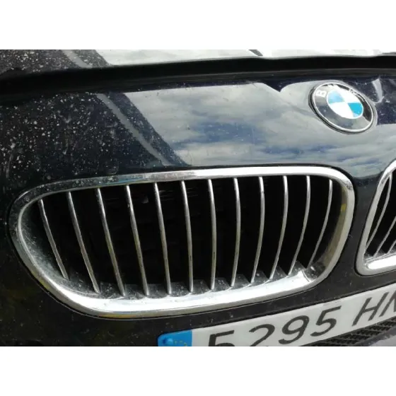 Rejilla Delantera para Bmw Serie 5 Lim. (F10)
