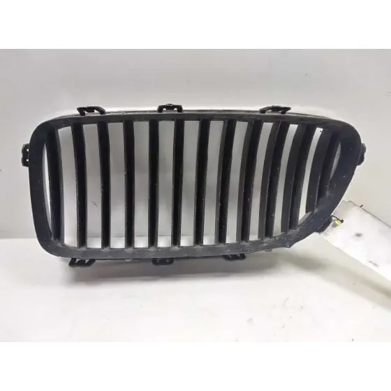 Rejilla Delantera para Bmw Serie 5 Lim. (F10)